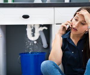 About Plumbers Pros Thornton, WA